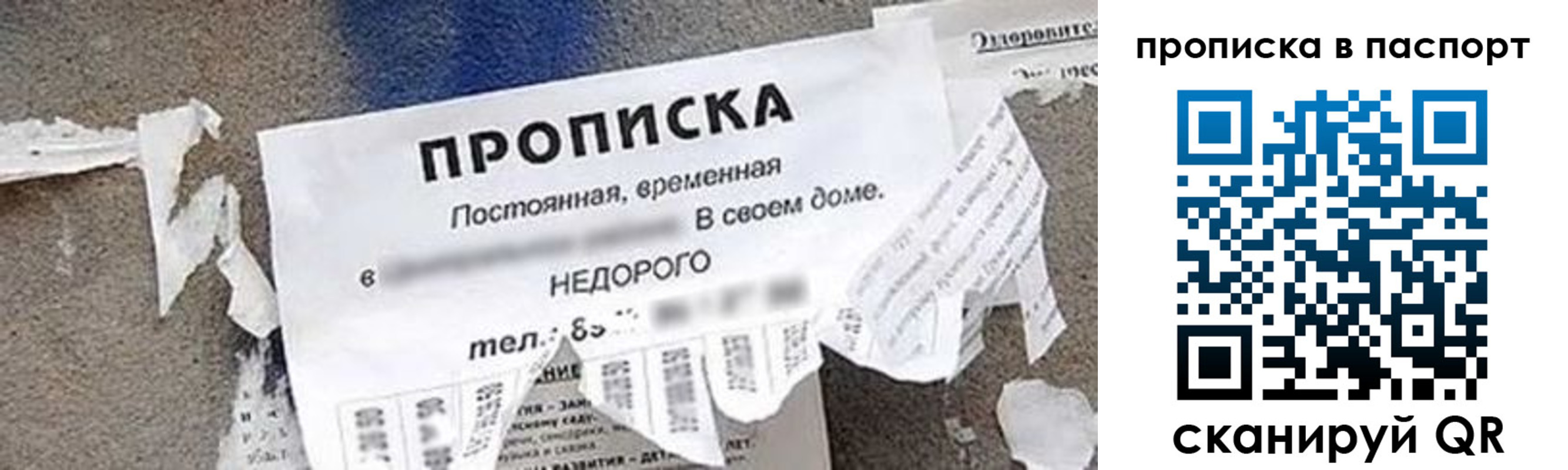 где прописаться в Архангельской области